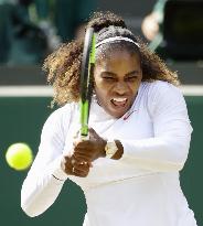 Tennis: Women's singles semifinals at Wimbledon