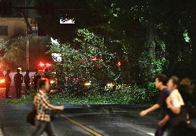 Powerful typhoon aftermath