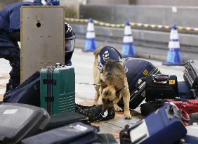 Counter-terrorism drill conducted at Tokyo airport