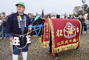 Best Matsuzaka cow auctioned for 25.8 mil. yen