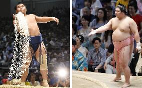 Scenes of sumo