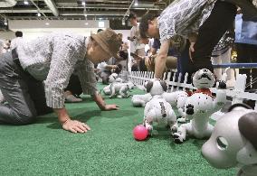 Aibo event in Tokyo