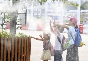 Summer heat in Tokyo