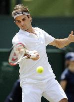 Federer, Nadal reach Wimbledon tennis final