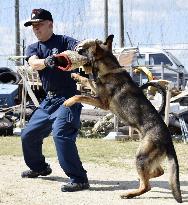 Deployment of police dog for G20