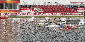 Canoe sprint world championships