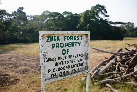 Zika forest of Uganda