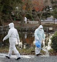 Swan tests positive for bird flu virus at Nagoya zoo