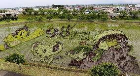 Manga characters in Japan paddy fields