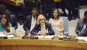Cate Blanchett at UNSC meeting