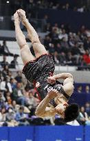 Gymnastics: Japan all-round title