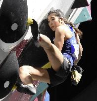 Sport climbing: World championships in Qatar