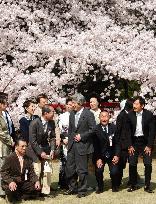 (2)Koizumi hosts cherry blossom party