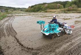 Fukushima village begins sowing rice for 1st time since disaster