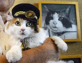 Stationmaster cat in western Japan