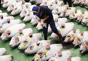 Opening of Toyosu fish market