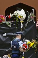 New Zealand mosque shootings