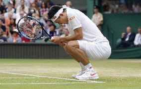 Tennis: Wimbledon championships