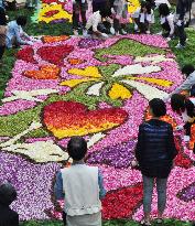 Picture drawn with tulip petals