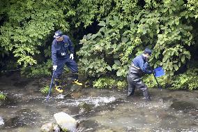 Police resume search for missing French woman