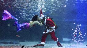 Christmas show at Seoul aquarium