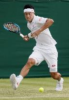 Tennis: Wimbledon championships