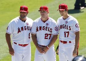 Baseball: Los Angeles Angels