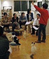 Cat cafe matchmaking