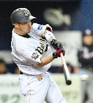 Baseball: Buffaloes rout Marines for 6th straight win