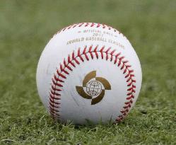 Baseball: MLB ball