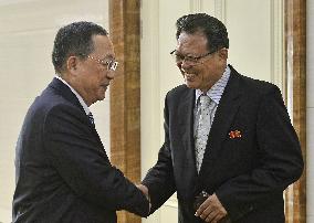 N. Korean foreign minister returns