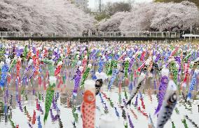 Carp streamers festival in eastern Japan city