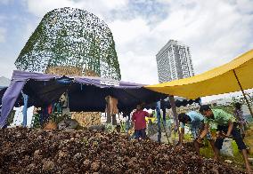 Sri Lanka, predominantly Buddhist country, building world's tallest Christmas tree