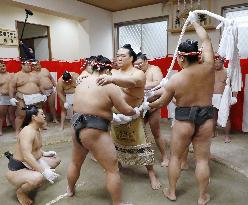 New yokozuna Kisenosato has his new rope tied