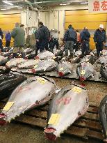 CORRECTED: Tsukiji fish market holds final New Year auction