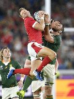 Rugby World Cup in Japan: Wales v South Africa