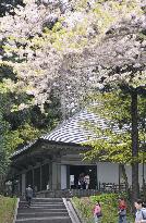 Hiraizumi in northeast Japan to be World Heritage site