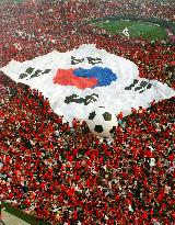Supporters at World Cup matches