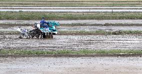 Fukushima village begins sowing rice for 1st time since disaster