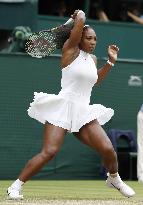 S. Williams defeats Kerber to win seventh Wimbledon title