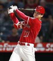 Baseball: Shohei Ohtani