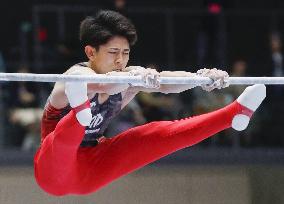 Gymnastics: Japan all-round title