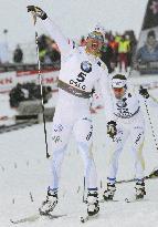 Sweden's Hellner at Nordic ski c'ships