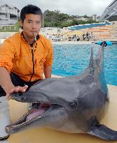 Masaya Koami, trainer for dolphin with artificial fin