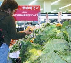 Gov't asks farmers to advance vegetable shipments to stem price h