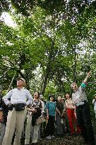 Visitors tour inner gardens of Imperial Palace