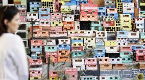 Photos from Rio de Janeiro Olympics