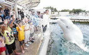 Children enjoy getting wet in water spewed from white whale's mouth