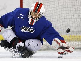 Paralympics: Japan's ice hockey team