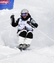 Skiing: Men's moguls World Cup